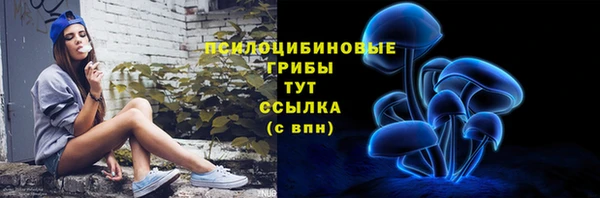 крисы Володарск