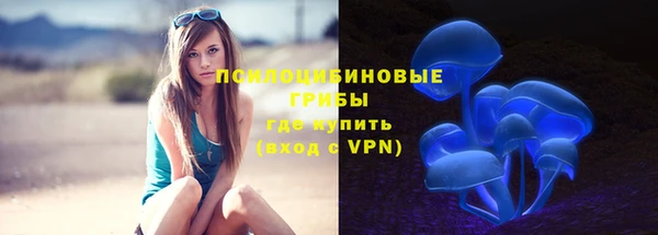 ГАЛЛЮЦИНОГЕННЫЕ ГРИБЫ Бронницы