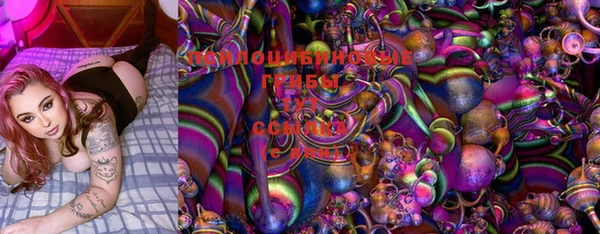 ГАЛЛЮЦИНОГЕННЫЕ ГРИБЫ Бронницы
