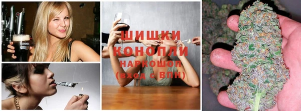 ГАЛЛЮЦИНОГЕННЫЕ ГРИБЫ Бронницы