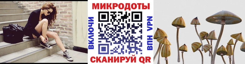 Галлюциногенные грибы прущие грибы  купить   Облучье 